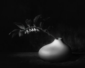 Mörkt botaniskt stilleben
