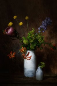  av Saskia Dingemans
