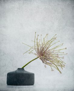 Fint botaniskt stilleben av Saskia Dingemans