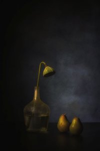 av Saskia Dingemans