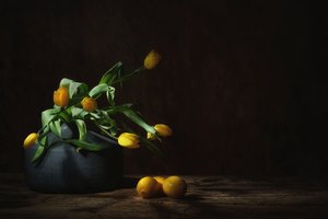 Stilleben med gulaktiga tulpaner