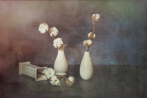  av Saskia Dingemans
