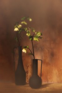Lugn blommig elegans