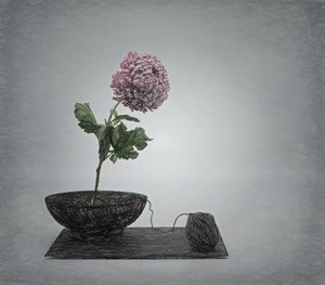 Stilleben med texturerad rosa blomma av Saskia Dingemans