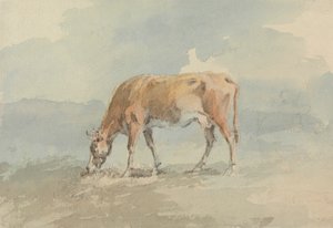 Ko som betar av Sawrey Gilpin