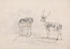Doe och Buck av Sawrey Gilpin