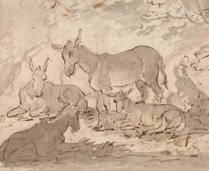 Åsnor av Sawrey Gilpin