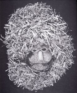 Iroquois Mask (majsskal) av School American