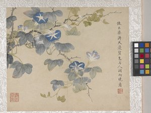 8-bladsalbum med blommor, mitten av 1700-talet (bläck och färg på papper) av School Chinese