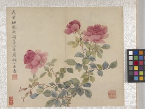 8-bladsalbum med blommor, mitten av 1700-talet (bläck och färg på papper) av School Chinese