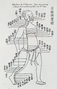 Akupunktur: "" Meridian i magen"", red. av School Chinese