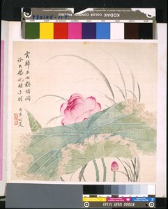 Album Of Flowers And Birds, okänt datum (tusch och färg på siden) av School Chinese