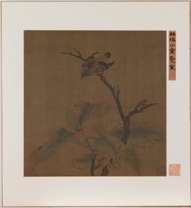 Fågel på en gren (bläck och färg på siden) av School Chinese