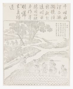 Plantera riset av School Chinese