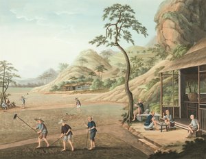 Teproduktion, ca 1820 (kroppsfärg och guldfärg på siden, nedlagd på papper) av School Chinese
