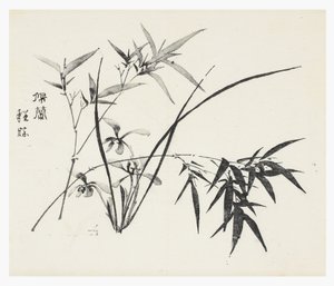 Tio Bamboo Series av School Chinese