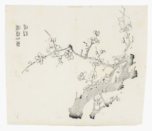 Tio Bamboo Series av School Chinese