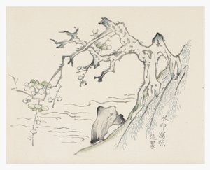 Tio Bamboo-serien av School Chinese