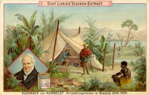 Alexander von Humboldts upptäcktsexpedition, Liebig-kort (tryck)