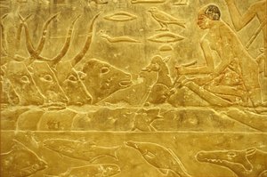 Forntida Egypten, Väggristning/-målning, Idouts mastaba/grav, Saqqara, 6:e dynastin, Boskap över en flod, Man hjälper en kalv över en flod, Mor tittar på (foto) av School Egyptian