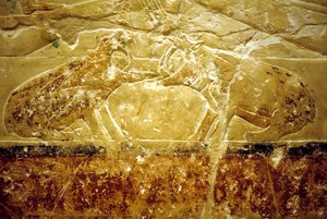 Forntida Egypten, Väggristning/-målning, Mastaba/Tomb of Idout, Saqqara, 6:e dynastin, Två flodhästar slåss (foto) av School Egyptian