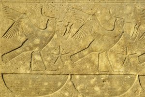 Forntida Egypten, Väggmålning/ristning, Lapwings, representerar de olika stammarna i Egypten, Karnak-templet, Luxor (foto) av School Egyptian