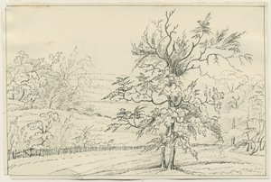 Cannock Chase: penn- och pennteckning, nd [?1800-talet] (teckning) av School English