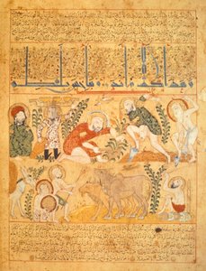 Andromenadros, Apotekaren, kartlägger jordbruksarbete, illustration från 
