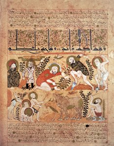 Illustration från "Kitab al-Diryaq" bok av motgift, av Pseudo-Gallen (vellum)