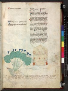 Egerton 747 Tractatus de herbis (växtbaserade) c.1280-1310 (bläck & färg på veläng) av School Italian