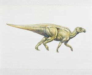 Hadrosaurid eller dinosaurie med anknäbb (färg litho) av School Italian