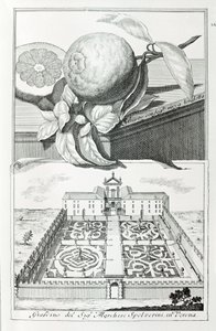Villa av Marquis Spolverini av Verona, från "Villas, Gardens and Landscapes in Venedig" av A. Volkamer (gravyr) av School Italian