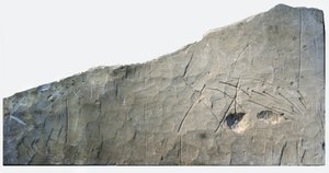 Hebreisk begravningsinskrift från Beth Loya, Judeans fot, Israel, 600-talet f.Kr. (sten)