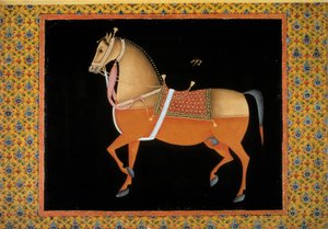 Mogholkonst: representation av en hingst. 1700-tals gouache. Paris, B.N.
