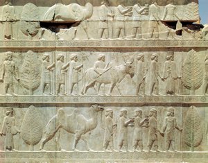Detalj av relieffrisen på den östra trappan till Apadana (publikens sal) som visar delegater från imperiets undersökta länder med påkostade gåvor för en ceremoni, Achaemenian period, c.515 BC (kalksten) av School Persian