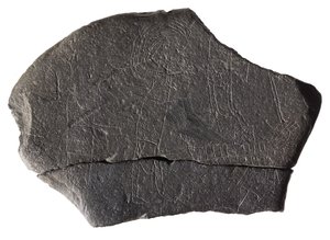 Gisslan, från det tidiga medeltida öklostret, Inchmarnock, Bute, Skottland, ca 800-900-talet e.Kr. (skiffer) av Scottish School