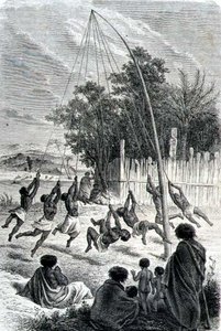 Maori Warriors Playing on a Gun, illustration från "The Return to the World" av School Spanish