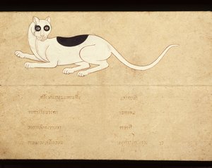 Blad ur ett manuskript om siamesiska katter, tidigt 1900-tal (akvarell på papper) av School Thai