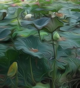 Lily Pond1 av Scott J. Davis