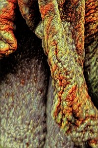 Trädstam, 2021 (digital) av Scott J. Davis