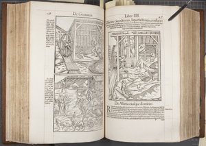 Cosmographia, Fol 436-437 av Sebastian Munster