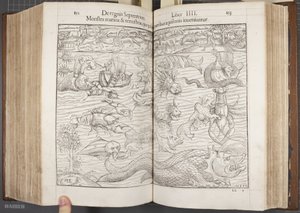 Cosmographia, Fol 852-853, 1544 av Sebastian Munster