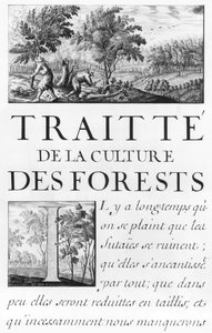 Ms 260 tome IV Frontispekt till "Traite de la culture des Forets" från "Oisivetes de M. Vauban contenant plusieurs Memoires ou Ramas de sa facon".