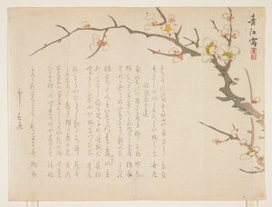 Blommande plommon, januari 1837 (träblock i färg) av Seik Hashimoto