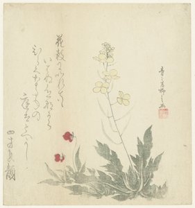 Blommande växter av Seiseikyo Ryûshi