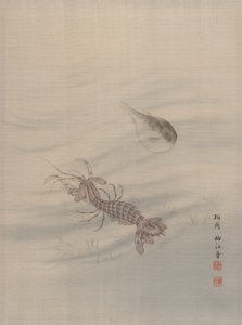 Botten av havet visar Cray Fish, ca. 1890-92.