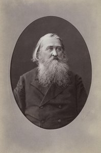 Porträtt av poeten Alexei Nikolaevich Pleshcheev 1825-1893, 1870