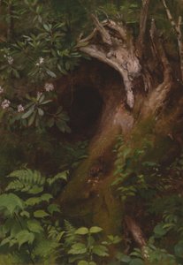 Ekorren av Seymour Joseph Guy