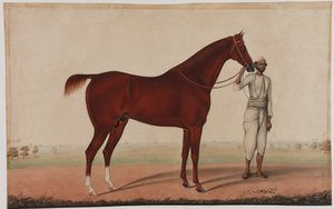 En häst och brudgum, c.1840 av Shaik Muhammad Amir of Karraya