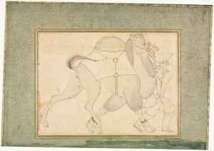 Kamel och brudgum, illustration på en sida, ca. 1545-1576. av Shaykh Muhammad